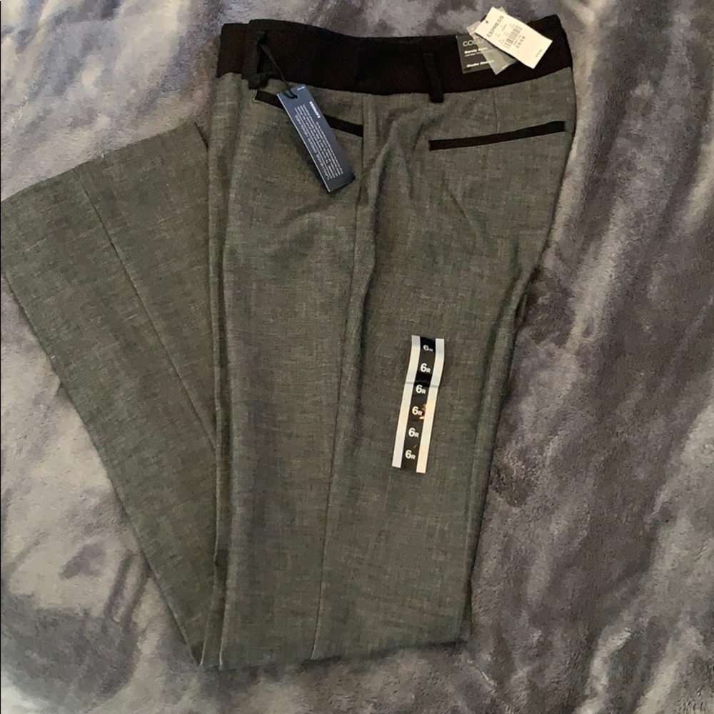 Express Columnist Pants